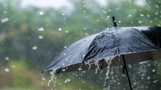 مقاييس التساقطات المسجلة بالمغرب خلال 24 ساعة.. أمطار مهمة بستي فاطمة بإقليم الحوز