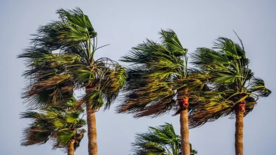 توقعات الطقس بالمغرب ليوم الأربعاء.. سحب وأمطار محلية ورياح قوية في بعض المناطق