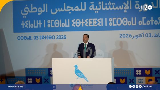 "المشاركة مسؤولية وليست غاية سياسية".. شوكي يكشف موقف الأحرار من الحكومة المقبلة (فيديو)
