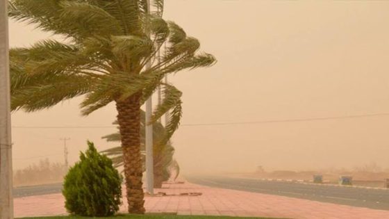 طقس الأربعاء.. رياح قوية وتطاير الغبار بعدد من مناطق المملكة