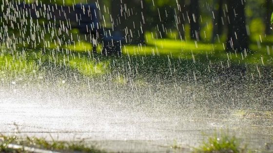 طقس الخميس..أجواء غائمة وأمطار مرتقبة بعدد من مناطق المملكة