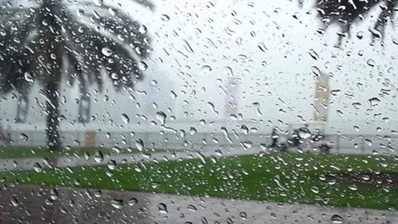 طقس الخميس..تساقطات مطرية في عدد من مناطق المملكة