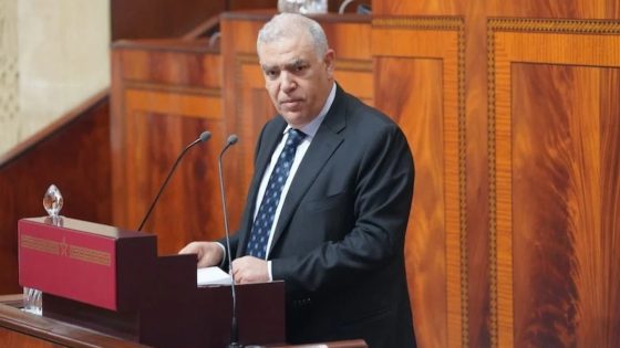 عاجل.. وزارة الداخلية تكشف موعد تقديم الأحزاب مقترحاتها لانتخابات 2027