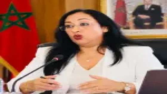 عتاق تكتب: البرنامج الحكومي لحكومة المنصوري وانتظارات المغاربة.. محاولة للفهم