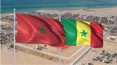 من قلب الأمم المتحدة.. السنغال تجدد دعمها للحكم الذاتي في الصحراء المغربية