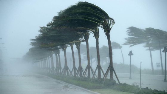 نشرة إنذارية.. أمطار رعدية قوية تصل إلى 80 ملم بهذه الأقاليم