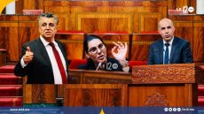 هل ستطرح الحكومة مشروع قانون جديد يُجرم الإثراء غير المشروع؟